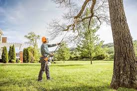Best Tree Maintenance Programs  in Gustine, CA