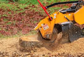 Best Commercial Tree Services  in Gustine, CA