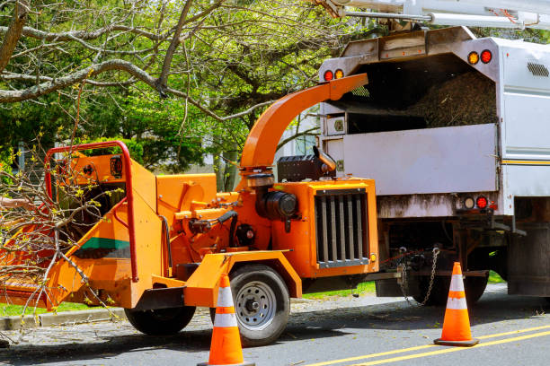Best Storm Damage Tree Cleanup  in Gustine, CA