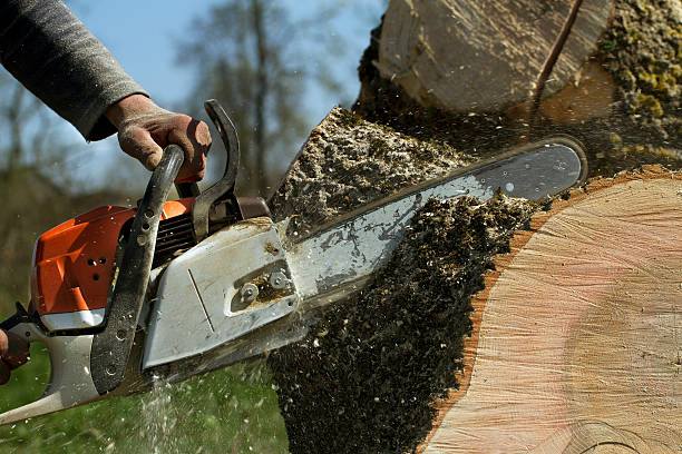 Best Mulching Services  in Gustine, CA